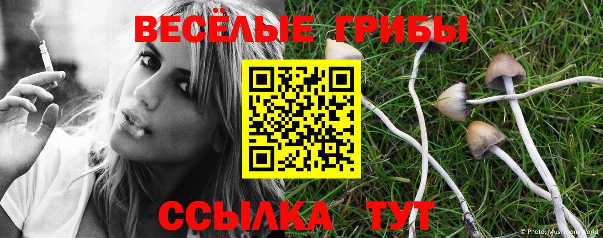 Псилоцибиновые грибы Magic Shrooms Бугуруслан